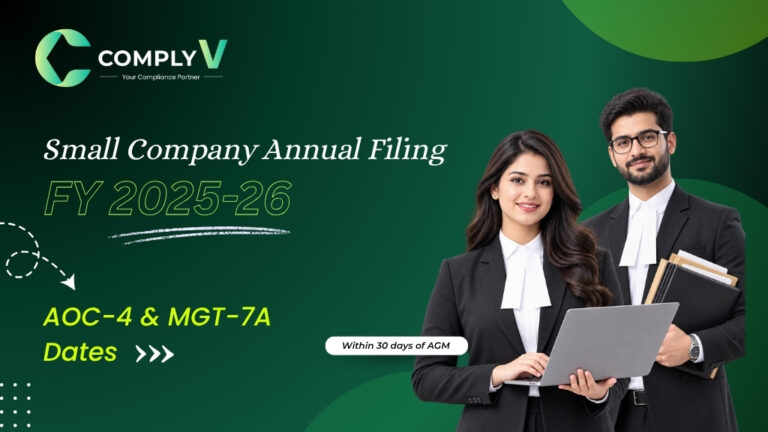 small company annual filing