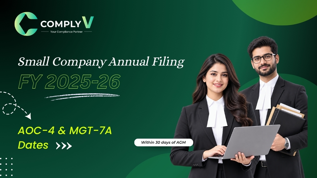 small company annual filing